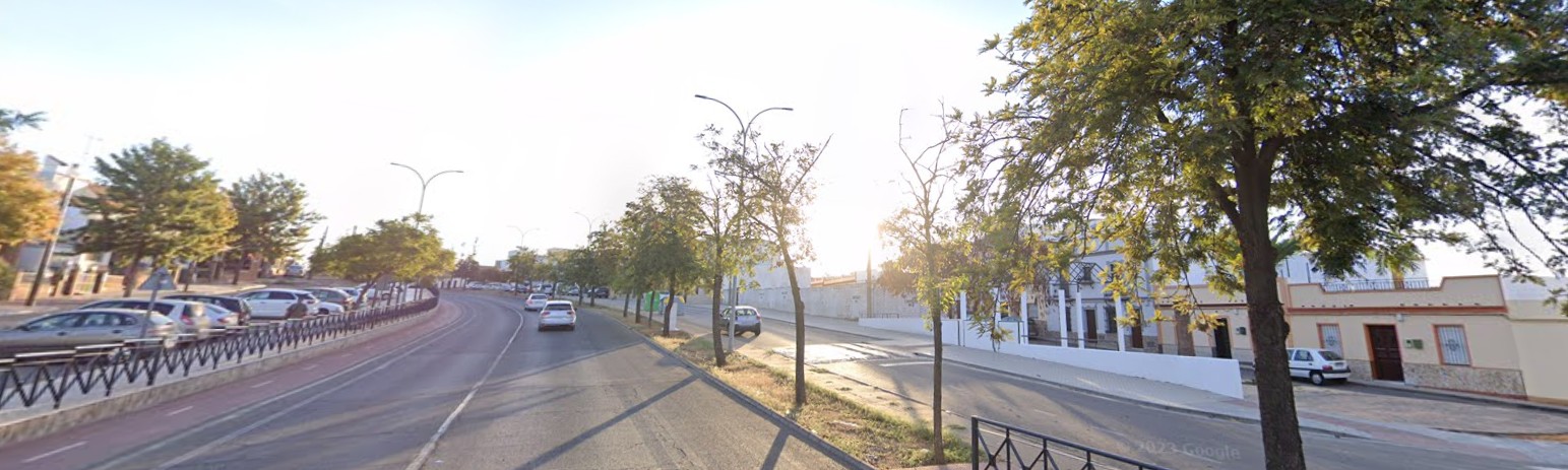 Avenida con carril bici y arbolado